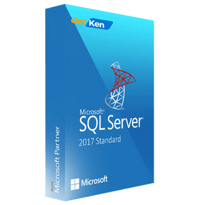 Microsoft SQL Server 2017 Standard Lifetime Product Key