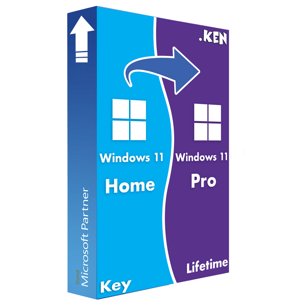 Upgrade from Windows 11 Home Edition to Professional Pro -Product Key