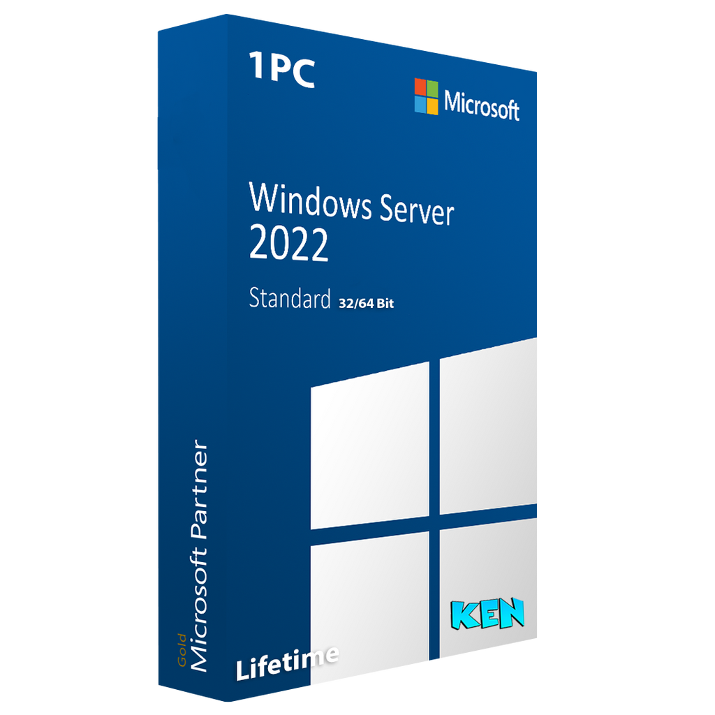 Windows Server 2022 Server Standard Lifetime Key