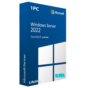 Windows Server 2022 Server Standard Lifetime Key